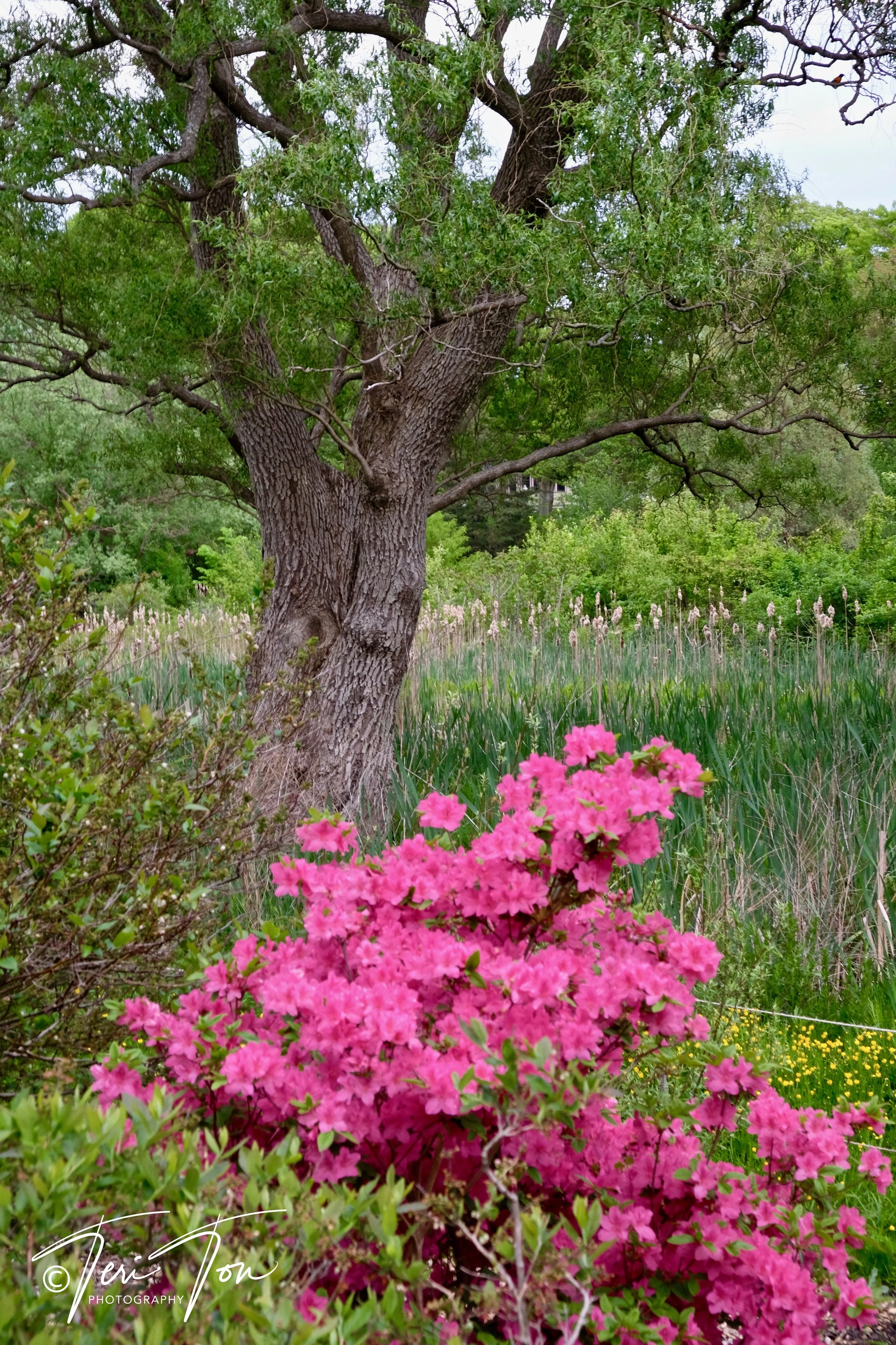 DSCF4768.jpg
