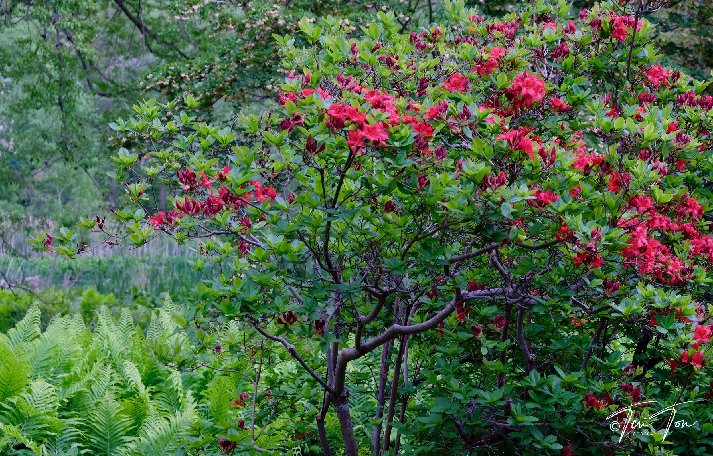 DSCF4764.jpg