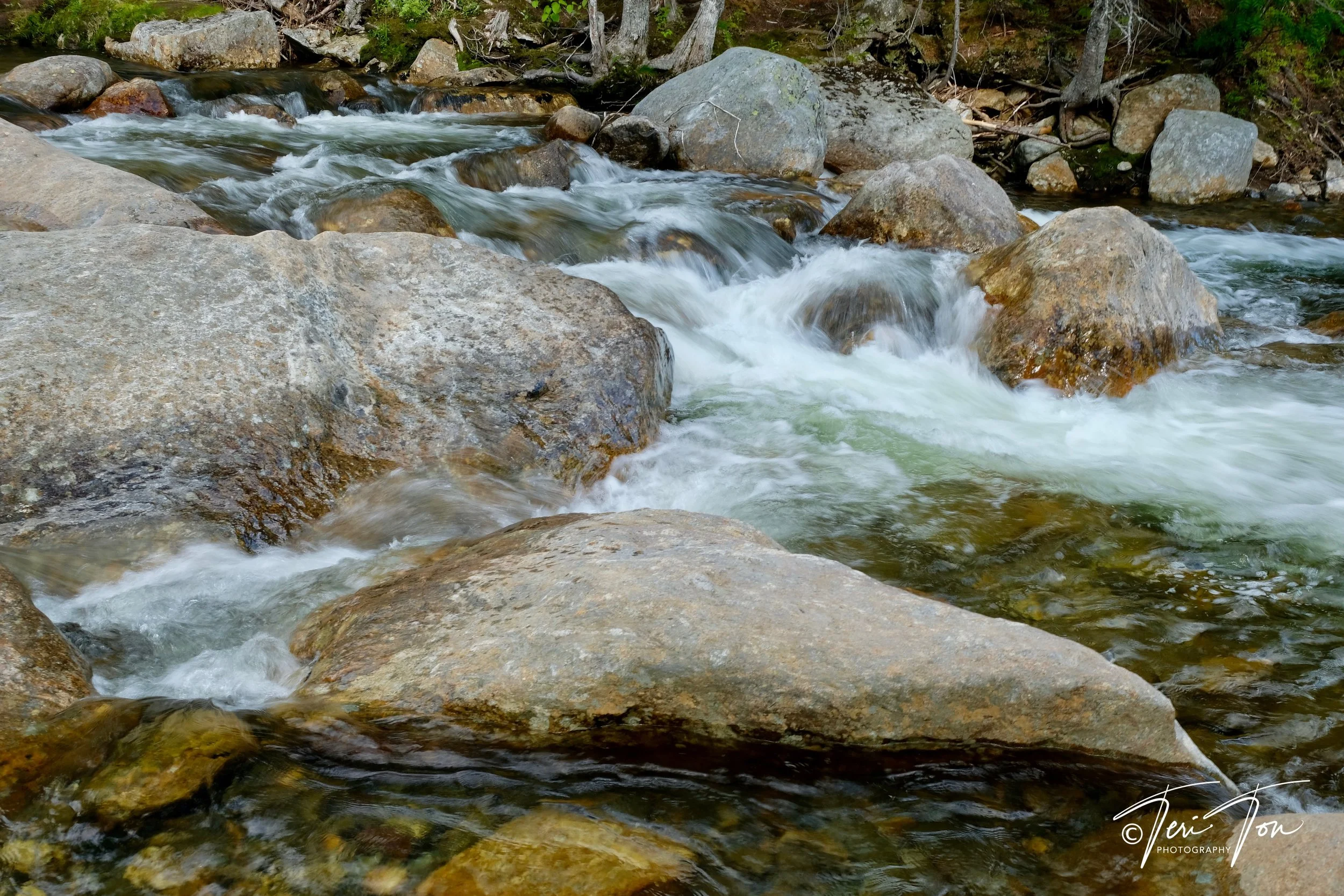 DSCF5089.jpg