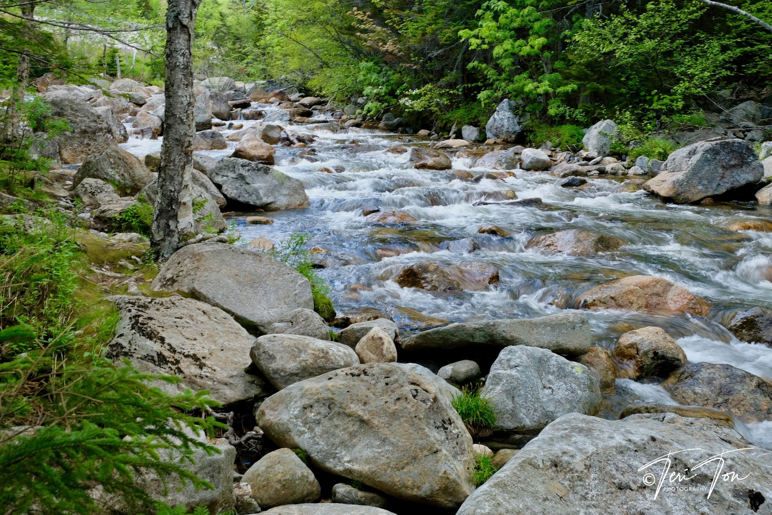 DSCF5092.jpg