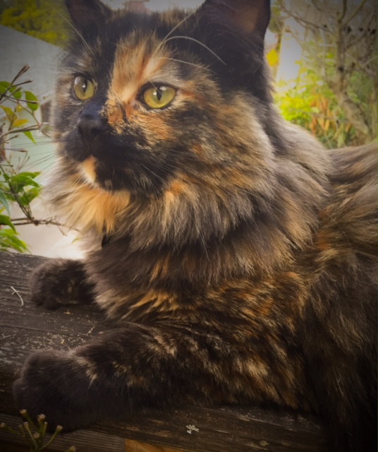 Our Favorite Posers - Dirty Poser