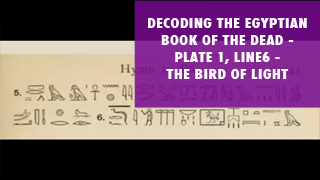 Decoding the Egyptian Book of the Dead Plate 1, Line 6 The Bird of Light.png