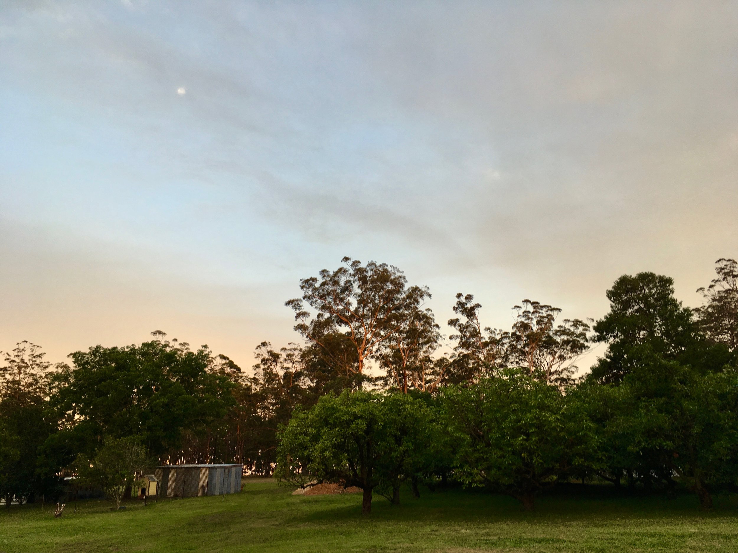 Half Moon Farm, December 2016