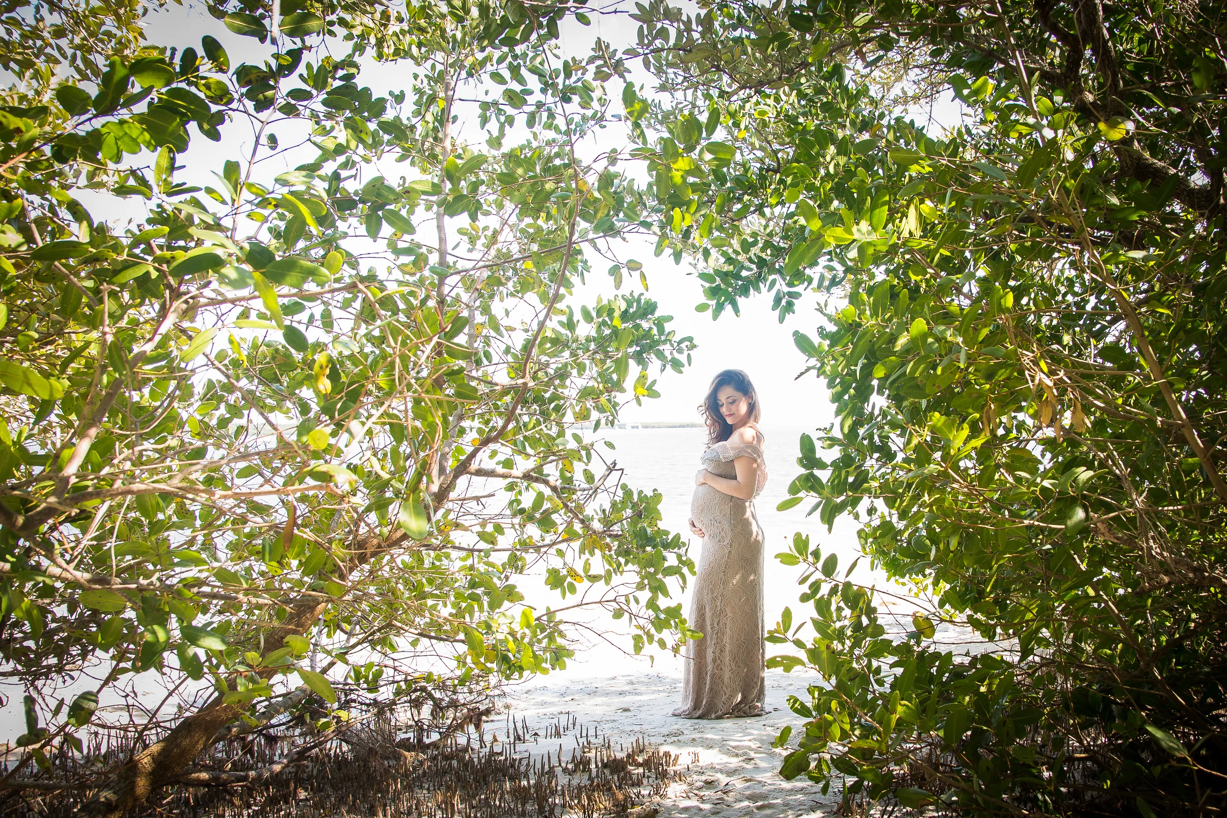 Phillipe Park Maternity Session