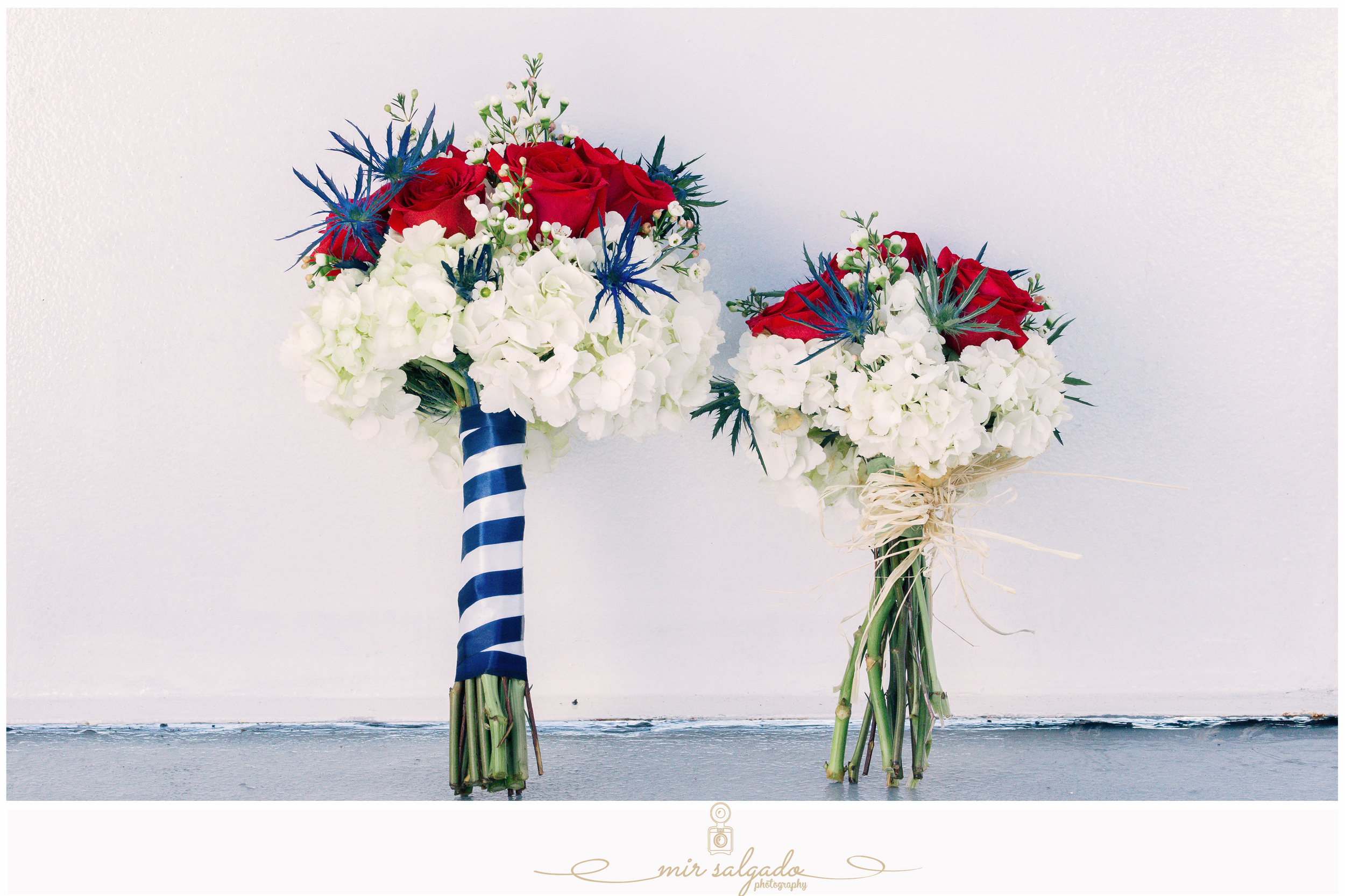 Tampa wedding photographer