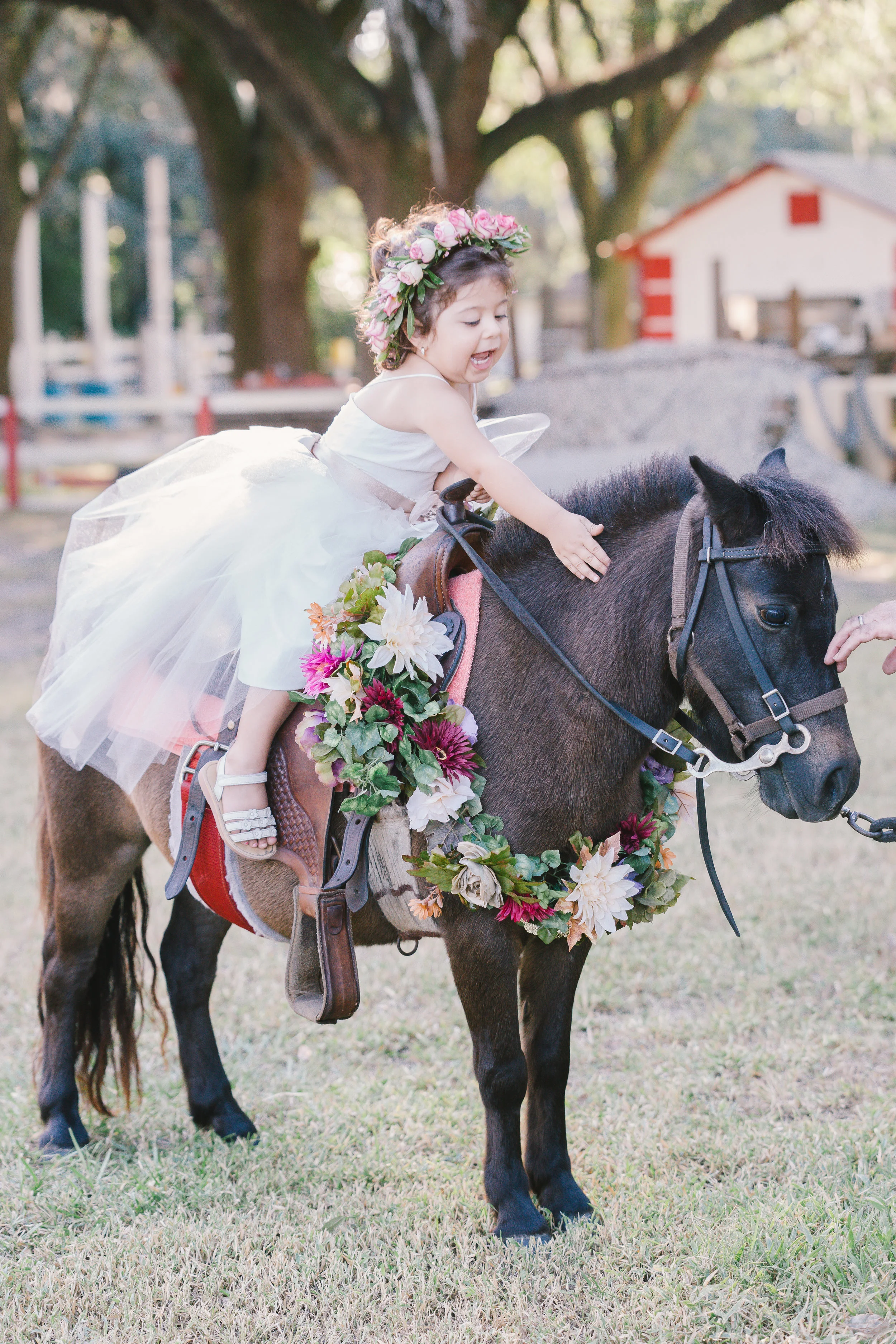 Magical Pony session, Tampa photographer, Tampa kids, Tampa wedding photographer