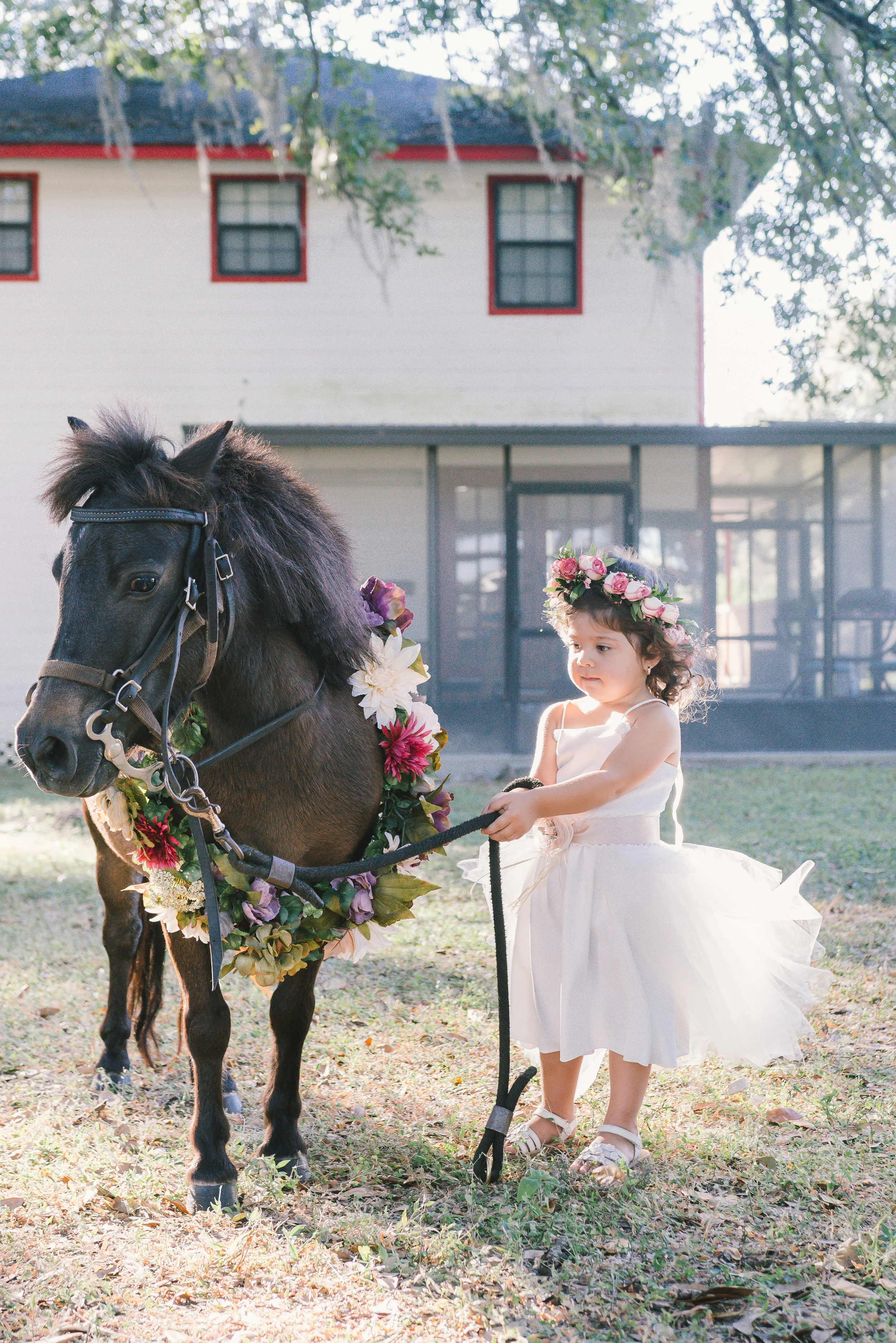Magical Pony session, Tampa kids photographer, Tampa portrait photographer