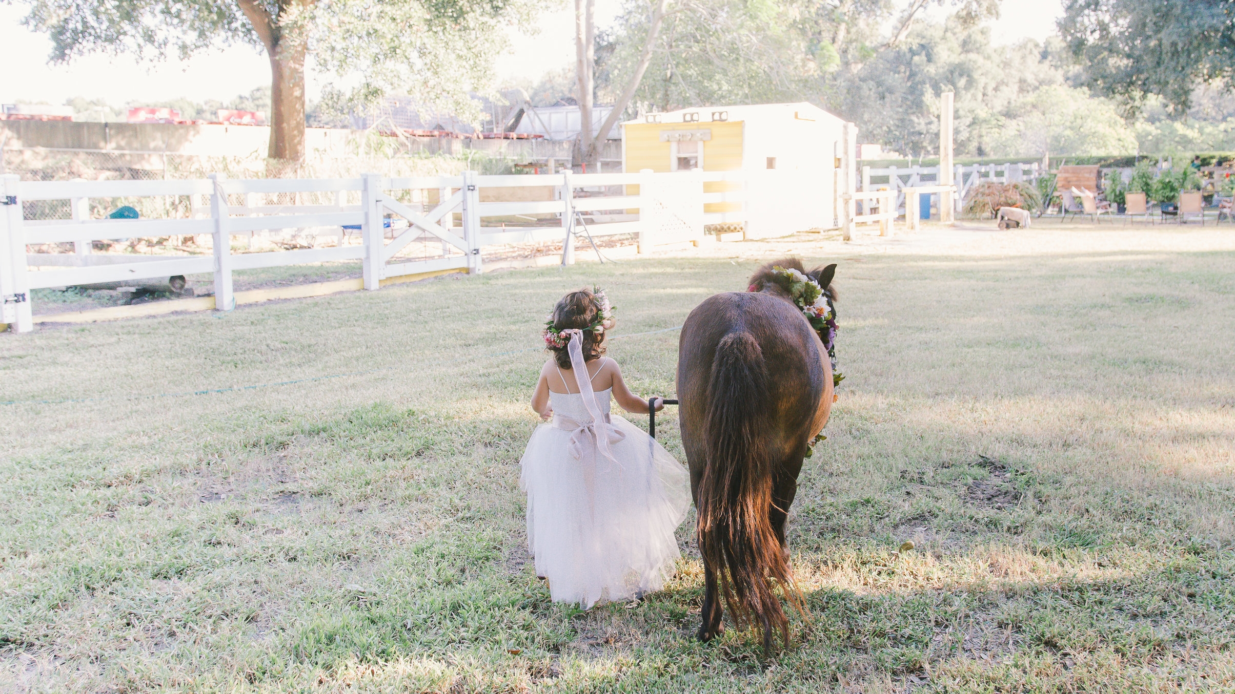 Regina Pony-10.jpg