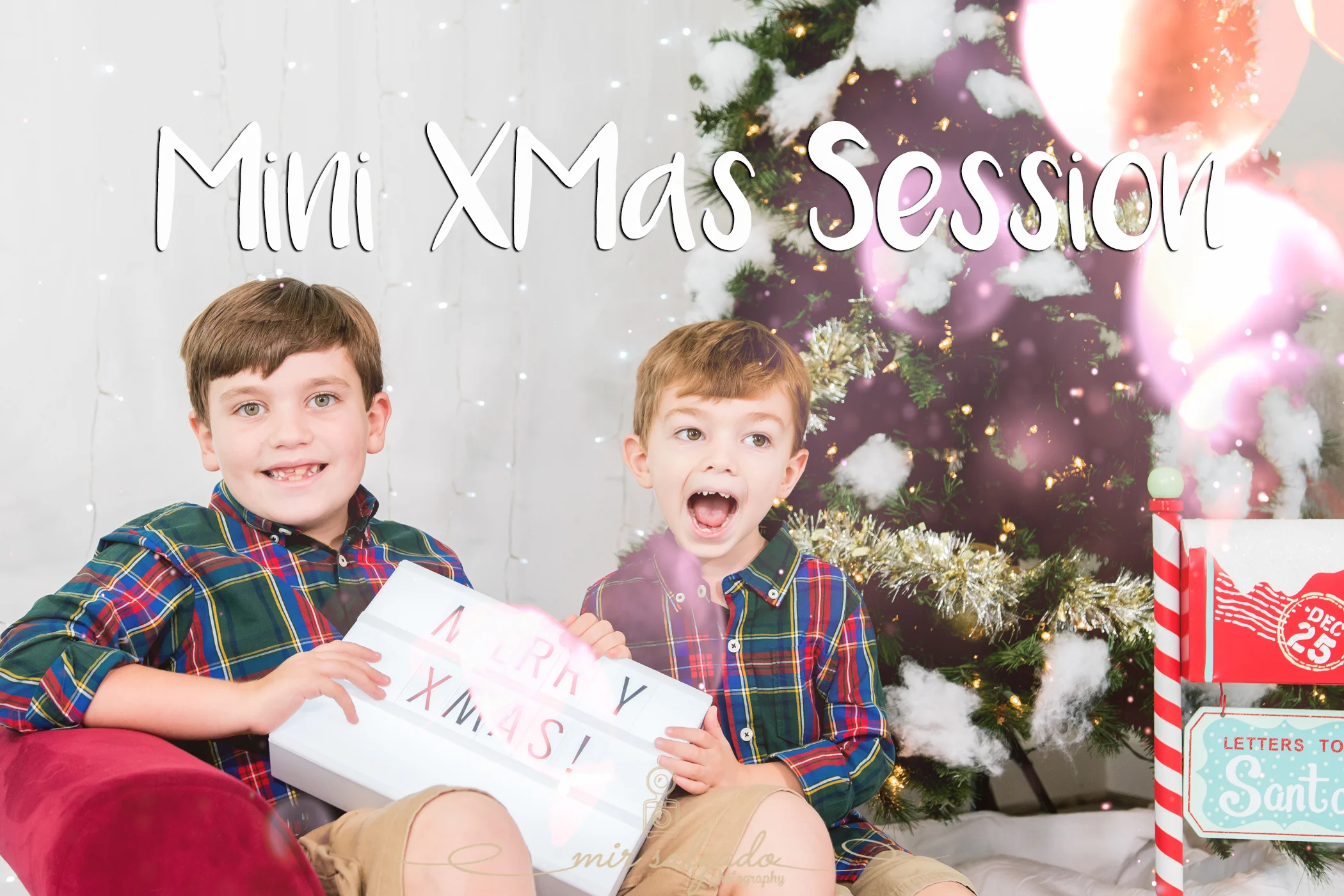 Tampa Mini Christmas Sessions
