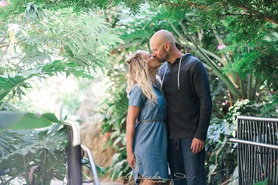 St.Pete-family-session, Sunken-gardens-family-session, Tampa-photographer