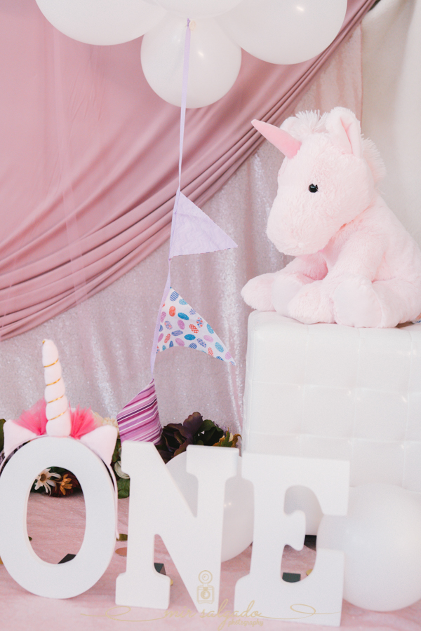 First Birthday | Sofia's Unicorn Smash Cake Family Session