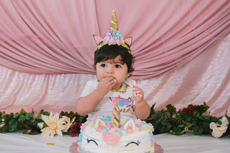 First Birthday | Sphia's Unicorn Smash Cake Family Session