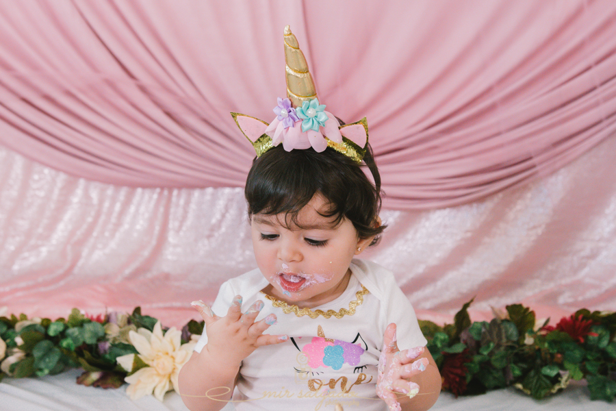 First Birthday | Sofia's Unicorn Smash Cake Family Session