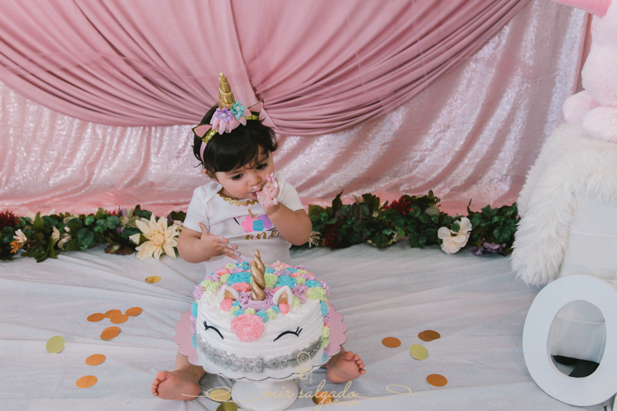 Child's First Birthday | Sofia Smash Cake Family Session