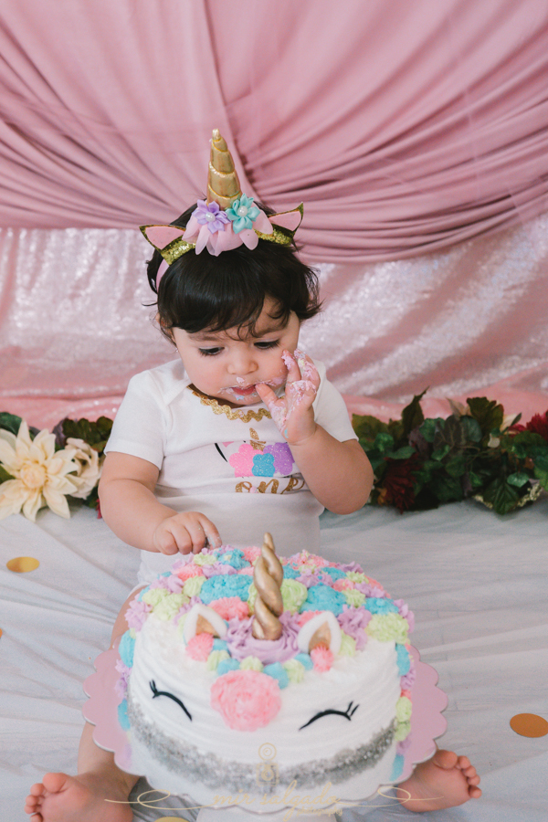 First Birthday | Sofia's Unicorn Smash Cake Family Session