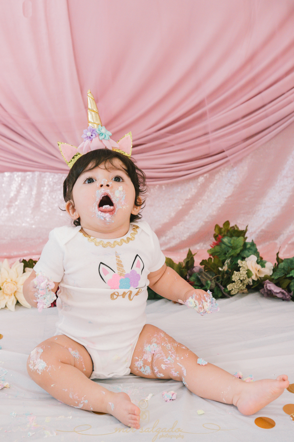 First Birthday | Sofia's Unicorn Smash Cake Family Session