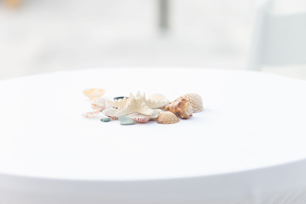 beach-wedding-decoration, seashells, beach-wedding, beach-wedding-decor, beach-wedding-setup