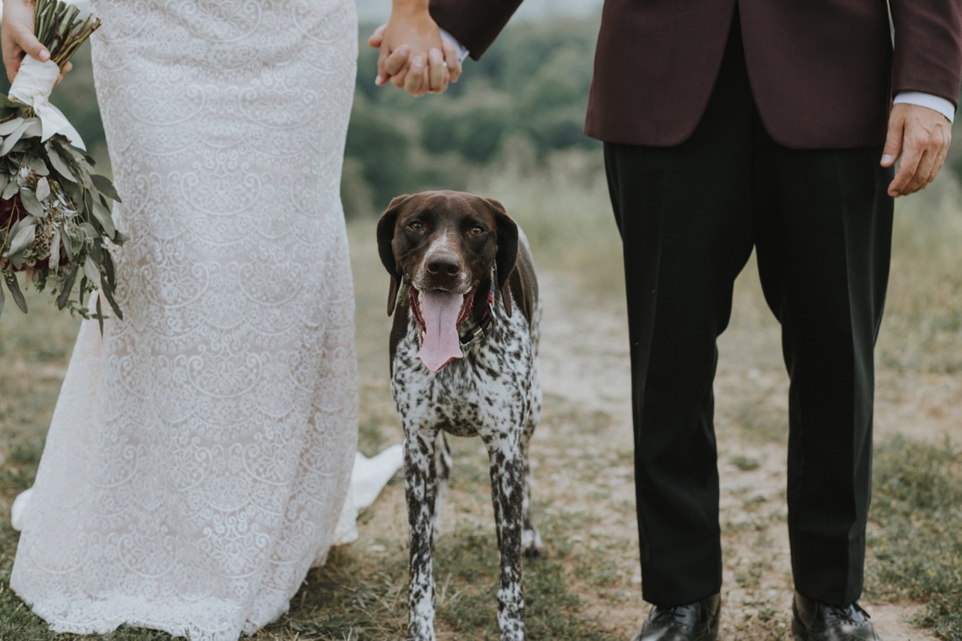 Hudson Valley Wedding Photographer, New York Wedding Photographer, Jordan Jankun Photography, Wedding at Brotherhood Winery, The Brotherhood Winery, Brotherhood Winery Wedding, Hudson Valley Wedding