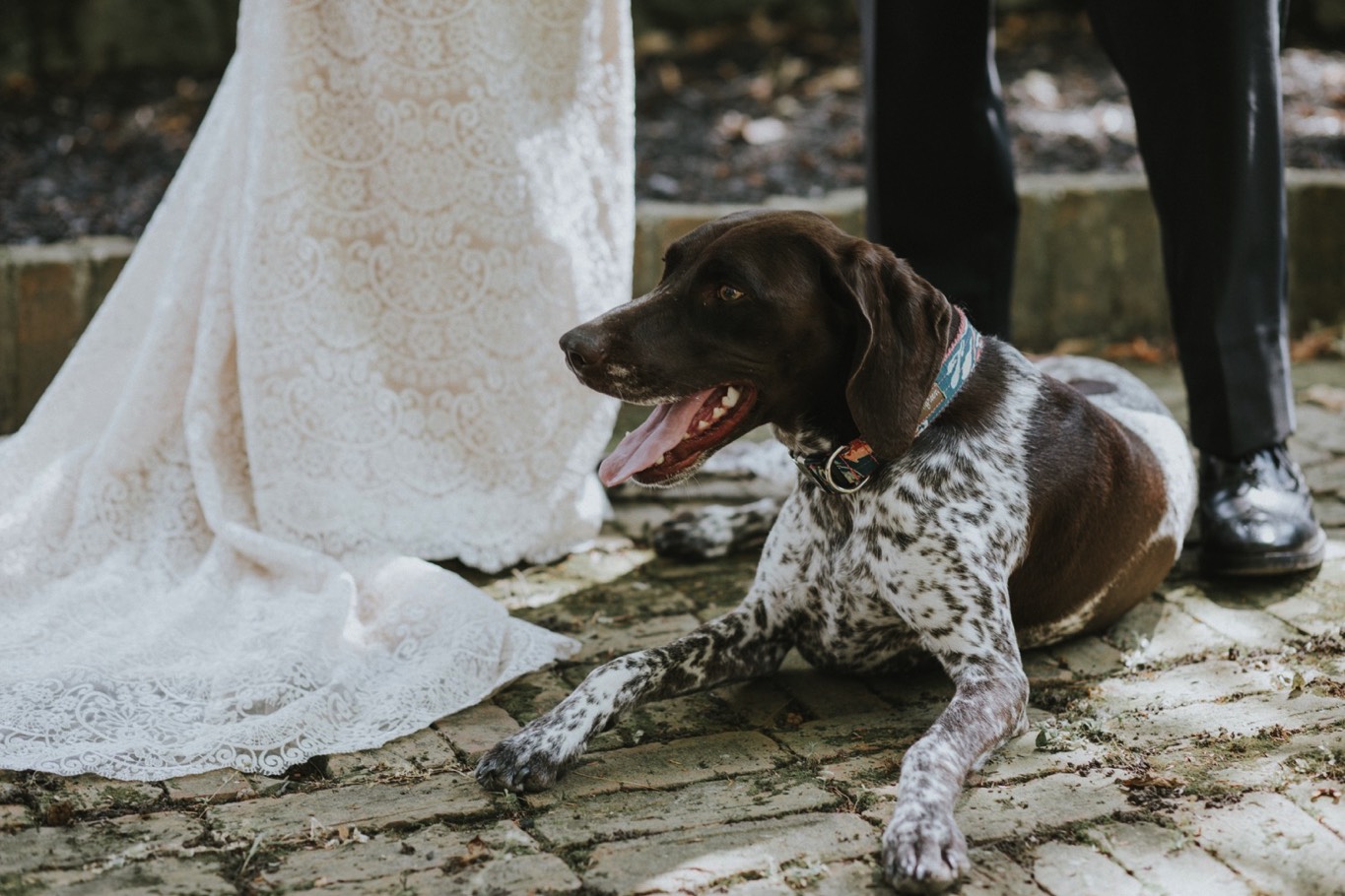 Hudson Valley Wedding Photographer, New York Wedding Photographer, Jordan Jankun Photography, Wedding at Brotherhood Winery, The Brotherhood Winery, Brotherhood Winery Wedding, Hudson Valley Wedding