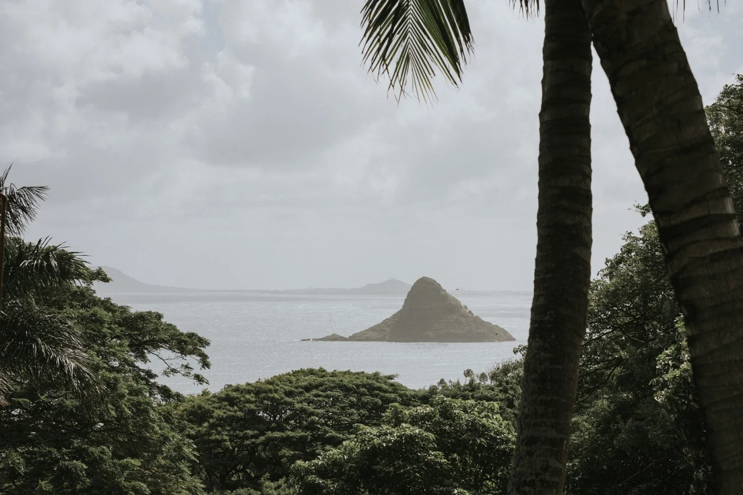 kualoa ranch, wedding at kualoa ranch, kualoa ranch wedding photographer, oahu wedding photographer, elopement at kualoa ranch, jurassic park wedding, destination wedding photographer, oahu elopement