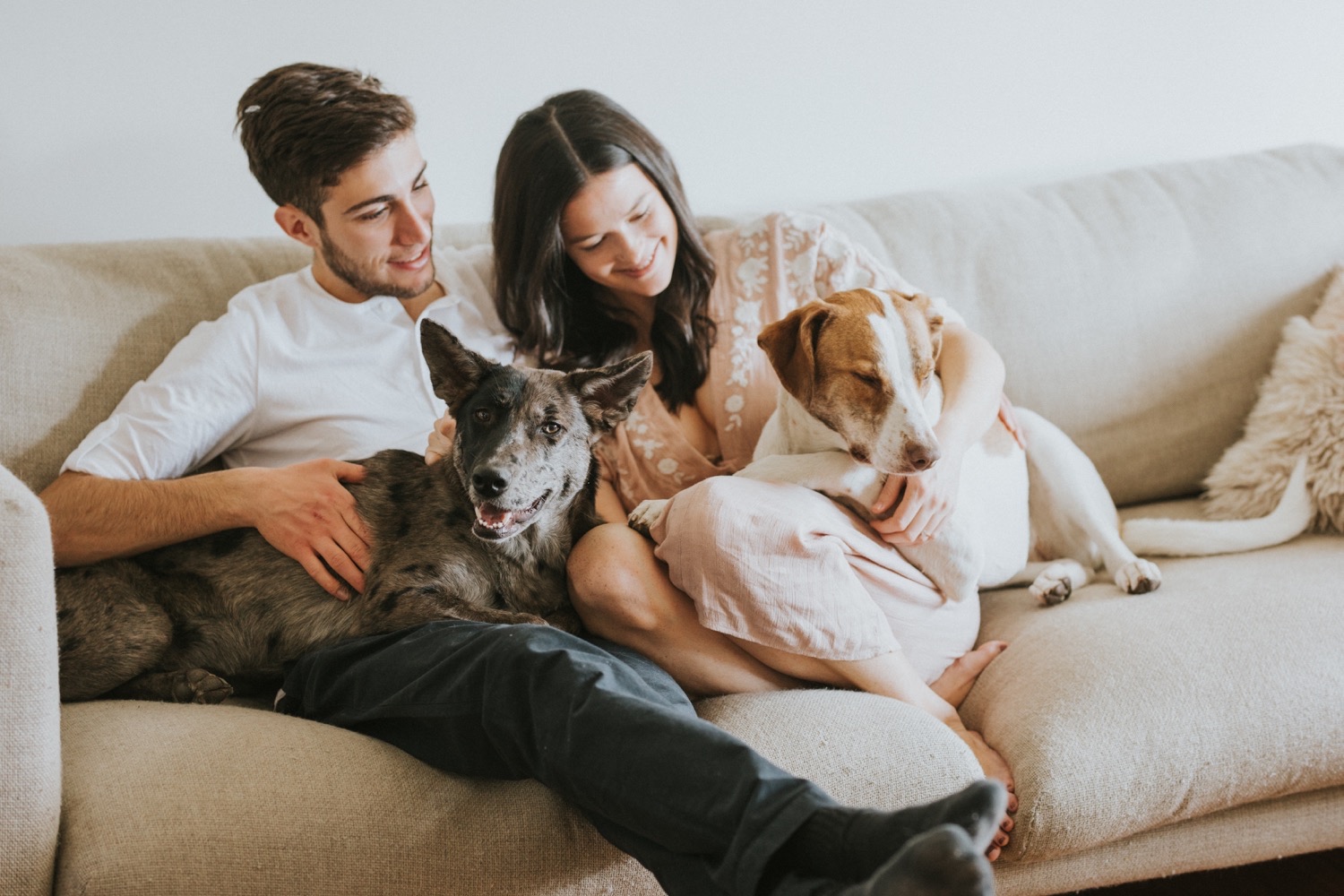 Hudson Valley Wedding Photographer, In Home Engagement Session, Albany Engagement Session, Hudson Valley Engagement Session, Upstate NY Engagement Session, Engagement Session with dogs