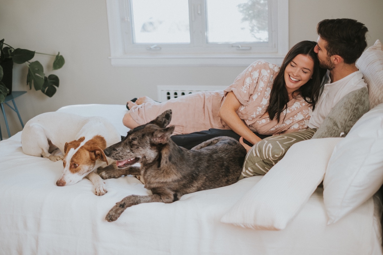 Hudson Valley Wedding Photographer, In Home Engagement Session, Albany Engagement Session, Hudson Valley Engagement Session, Upstate NY Engagement Session, Engagement Session with dogs