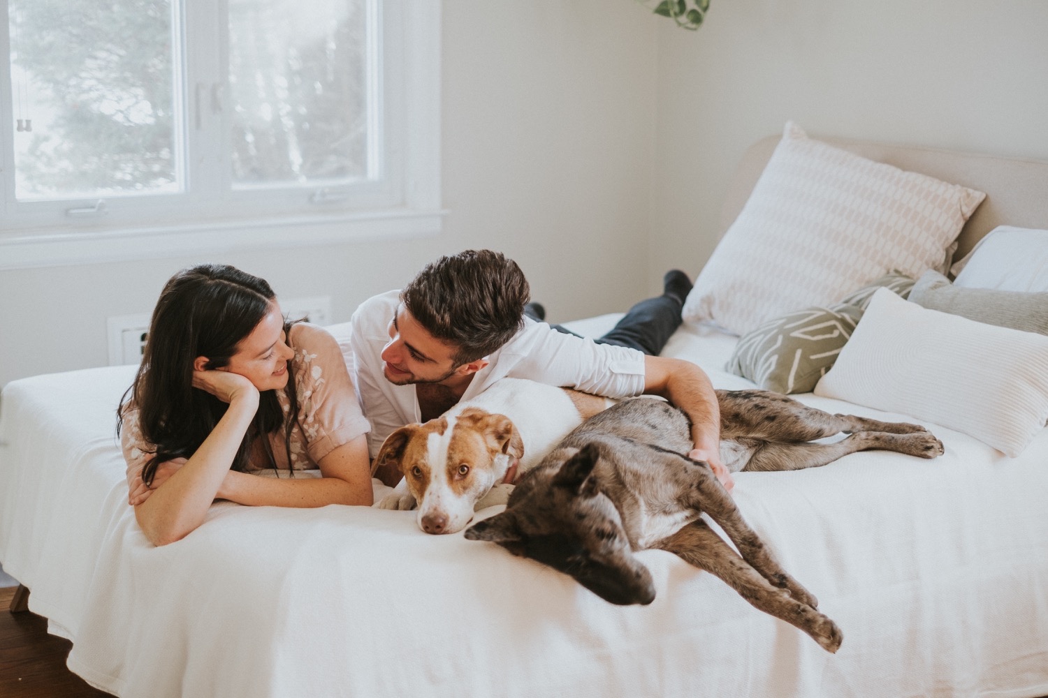 Hudson Valley Wedding Photographer, In Home Engagement Session, Albany Engagement Session, Hudson Valley Engagement Session, Upstate NY Engagement Session, Engagement Session with dogs