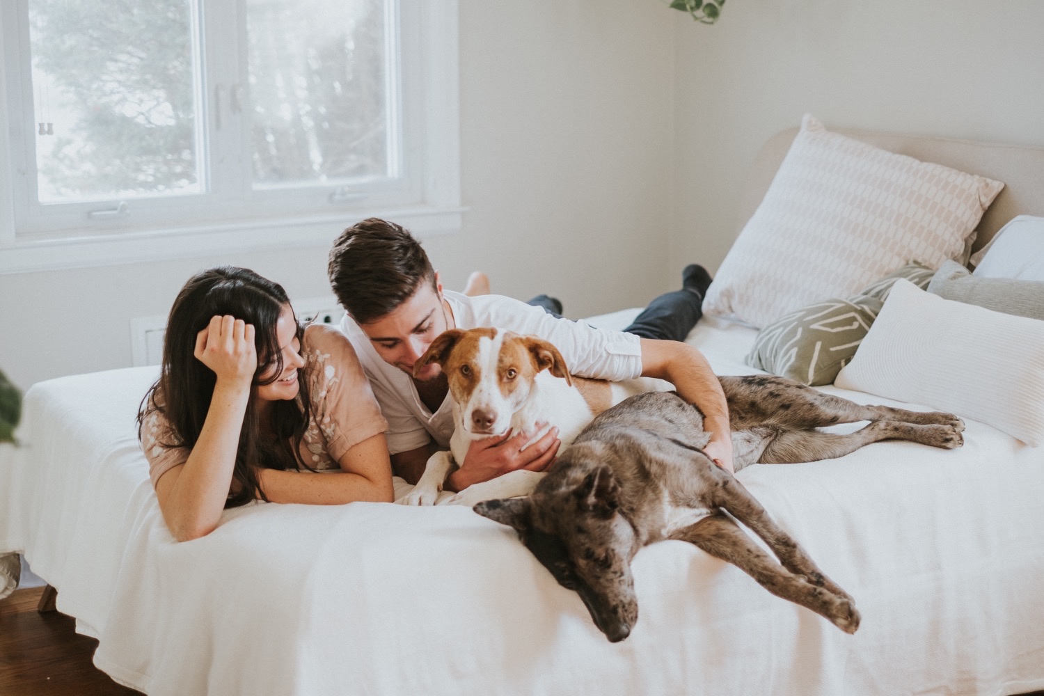 Hudson Valley Wedding Photographer, In Home Engagement Session, Albany Engagement Session, Hudson Valley Engagement Session, Upstate NY Engagement Session, Engagement Session with dogs