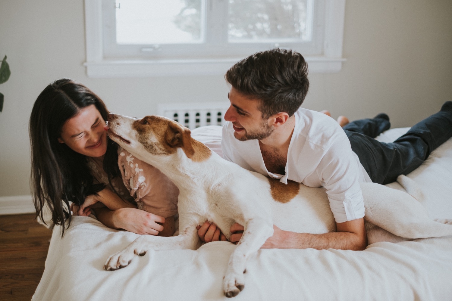 Hudson Valley Wedding Photographer, In Home Engagement Session, Albany Engagement Session, Hudson Valley Engagement Session, Upstate NY Engagement Session, Engagement Session with dogs