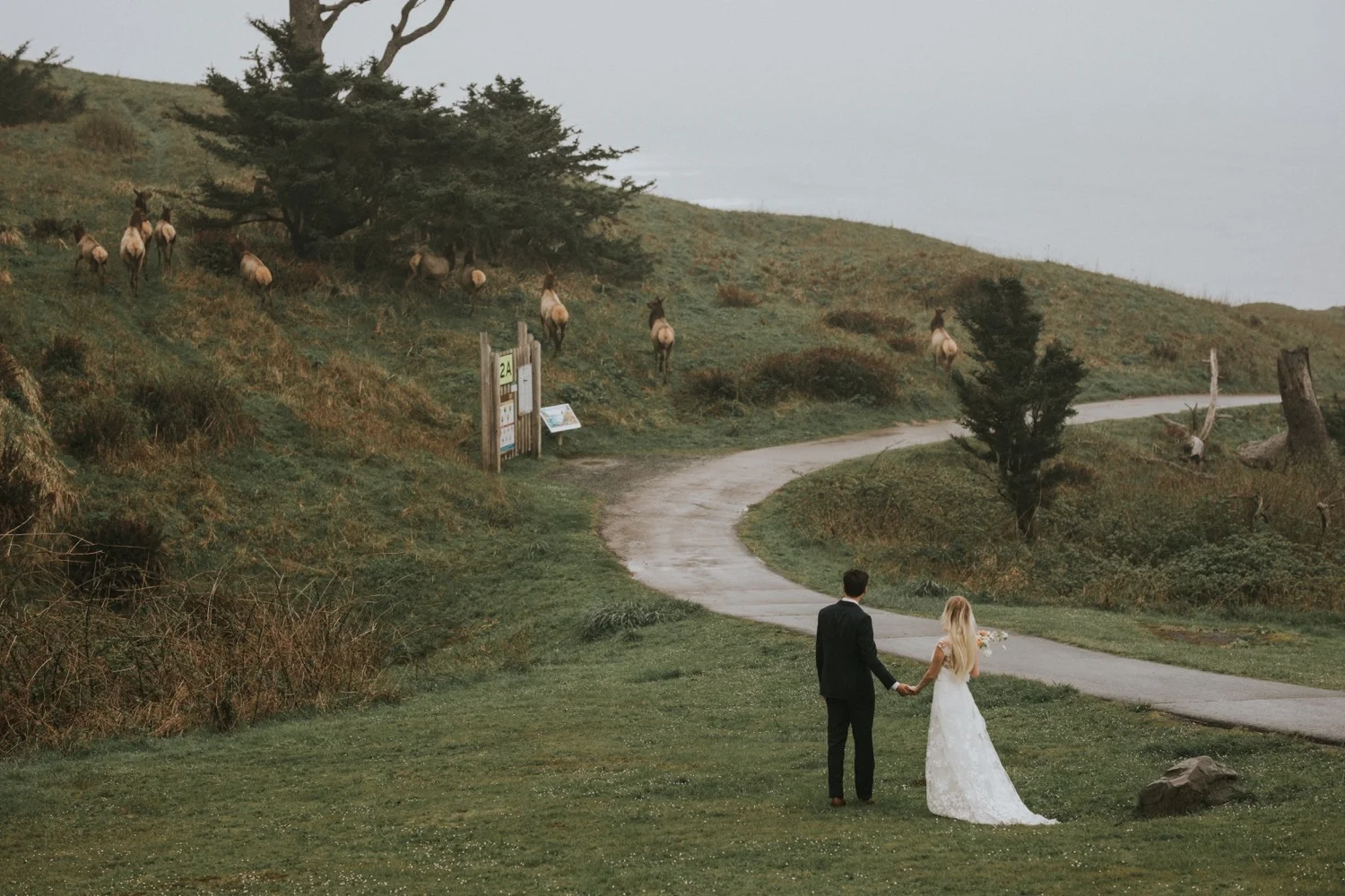 Portland Wedding Photographer, Ecola State Park, Oregon Wedding Photographer, Hudson Valley Wedding Photographer, Ecola State Park Elopement