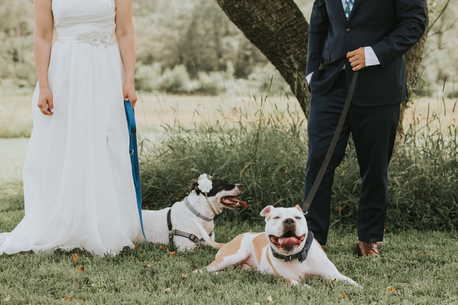 Wedding Invitations, Fiddle Lakes Farm, Fiddle Lakes Wedding, Hudson Valley Wedding Photographer, New York Wedding Photographer, First Look