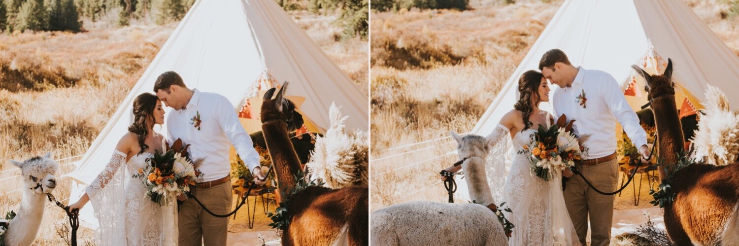 Breckenridge Wedding Photographer, Breckenridge Elopement, Breckenridge Wedding, Colorado Wedding Photographer, Colorado Elopement, Rue De Seine, Wedding with llamas