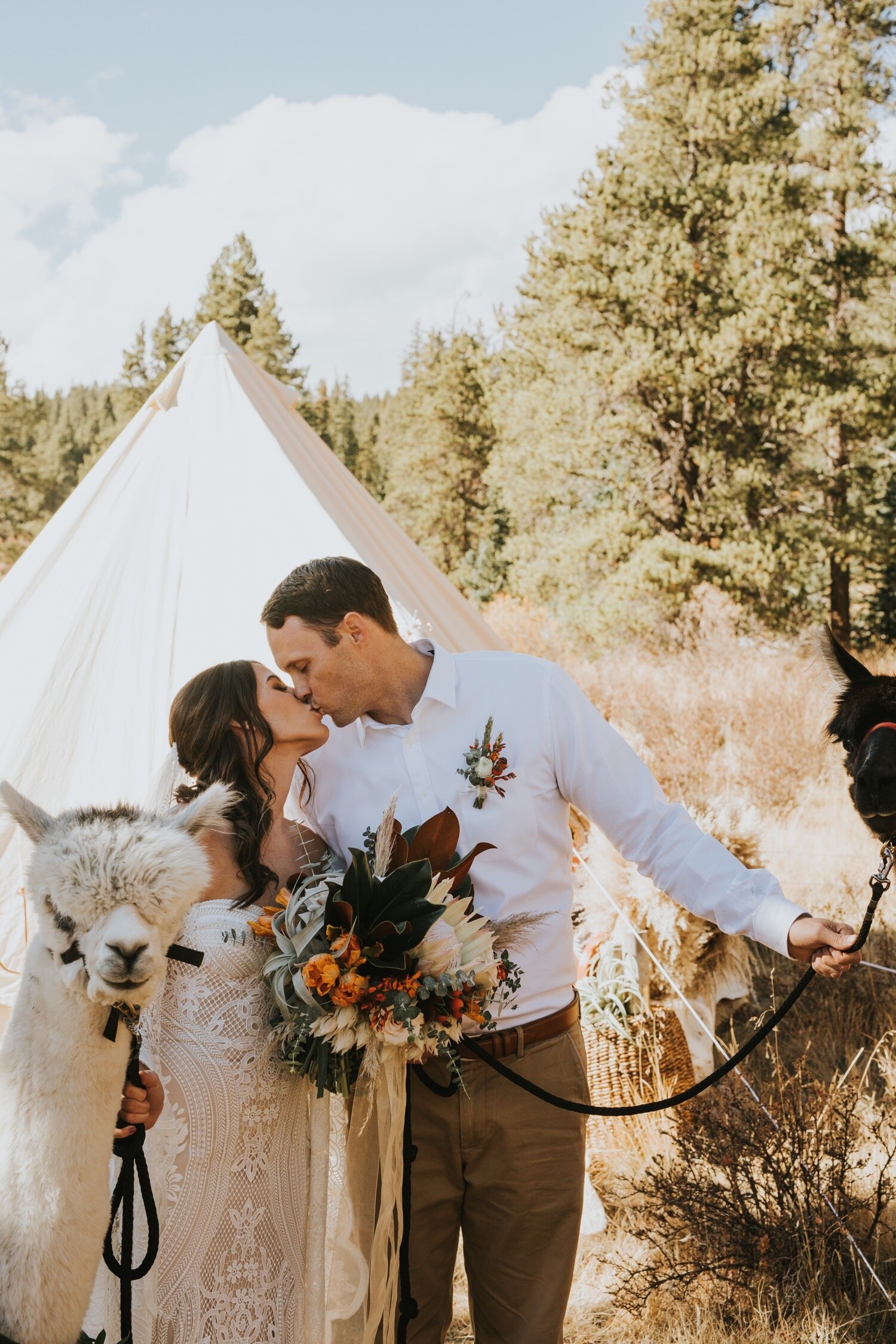 Breckenridge Wedding Photographer, Breckenridge Elopement, Breckenridge Wedding, Colorado Wedding Photographer, Colorado Elopement, Rue De Seine, Wedding with llamas