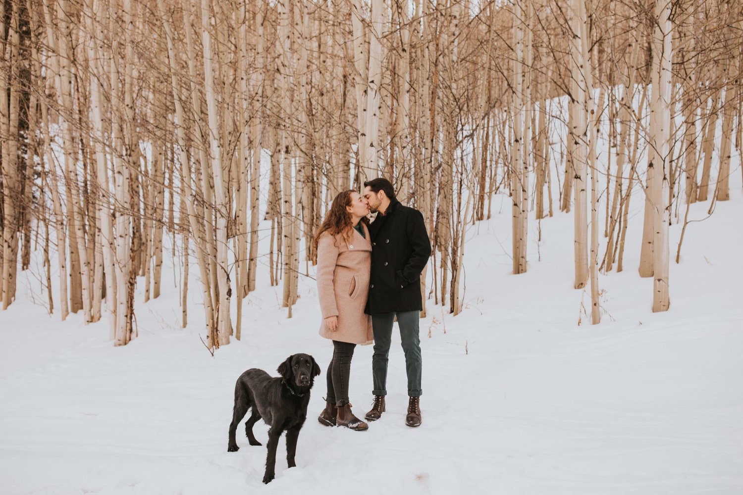 hudson valley wedding photographer, colorado wedding photographer, colorado engagement session, aspen engagement session, colorado wedding, aspen wedding