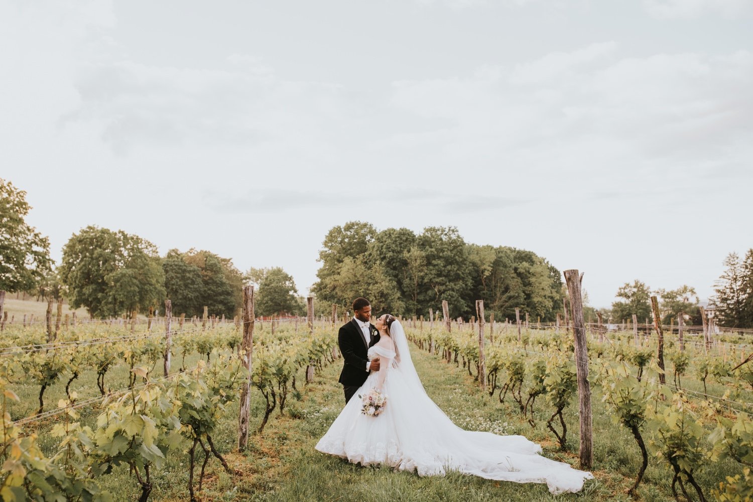 Red Maple Vineyard, Hudson Valley Wedding, Hudson Valley Wedding Photographer, Red Maple Vineyard Wedding