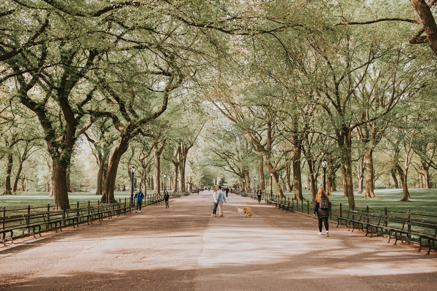 central park engagement photos, new york wedding photographer, central park wedding, hudson valley wedding photographer, central park wedding photographer