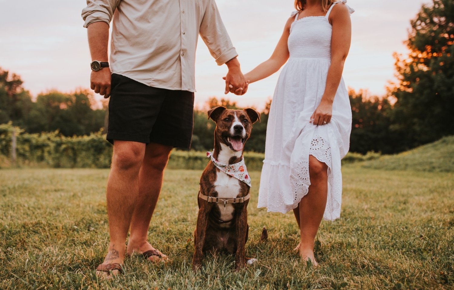 Hudson Valley Wedding Photographer, Stowe Wedding Photographer, Vermont Wedding Photographer, Burlington Wedding Photographer, Shelburne Vineyards, Shelburne Vineyards Engagement Photos