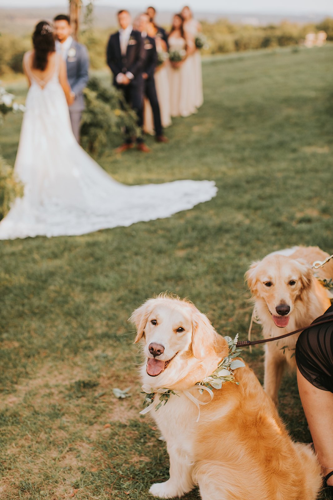 Hudson Valley Wedding Photographer, Red Maple Vineyard, Red Maple Vineyard Wedding, Catskills Wedding Photographer, New York Wedding Photographer