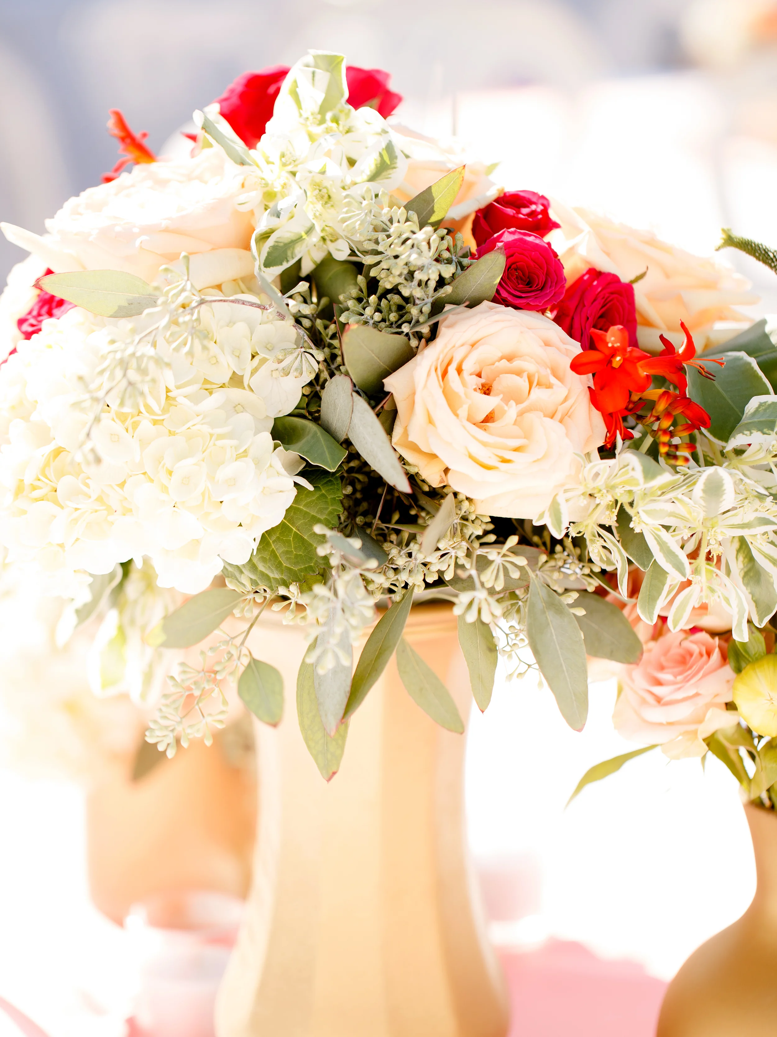 IMG_7638-Edit.JPG