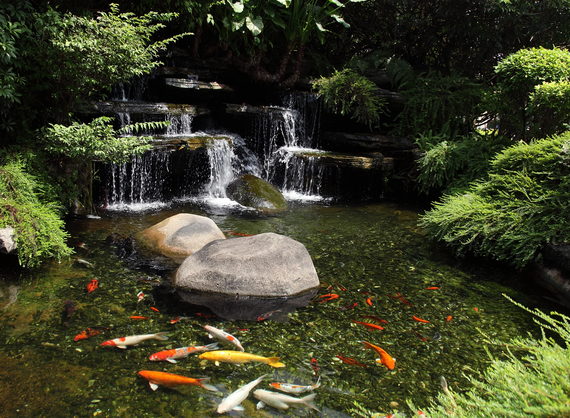 largerockpond.jpg