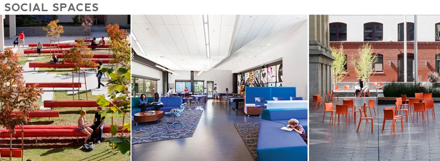 Some great use of color to highlight social space.