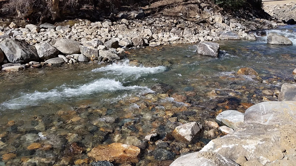 20150316_102006.jpg