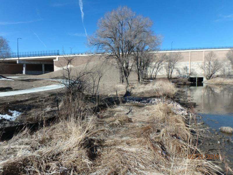 Thomas Phelps Creek Trail Completed