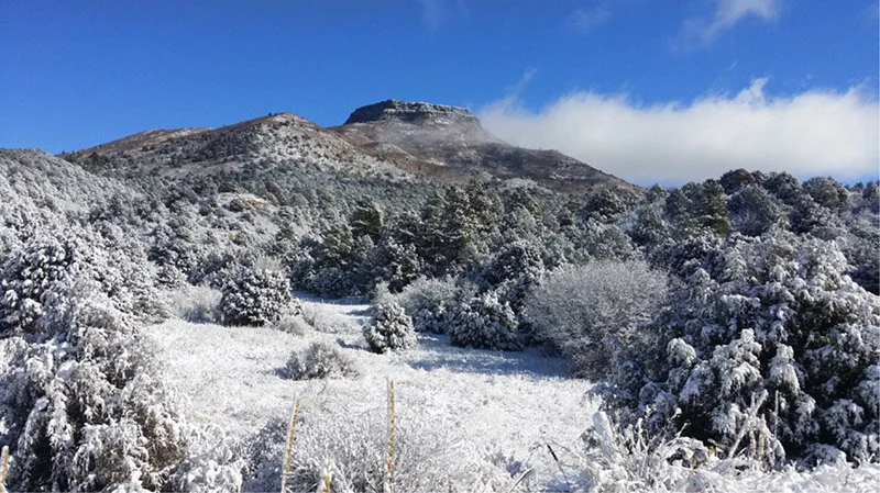 THK to Lead the Development of Fisher's Peak State Park