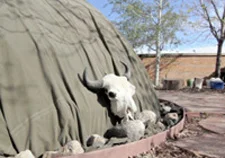 Buffalo skull leaning against VA Center sweat lodge, Photo by Taki Telonidis