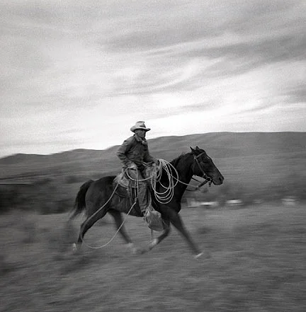 Photo by Adam Jahiel