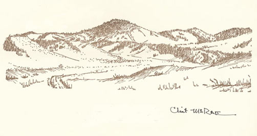Drawing by Clint McRae