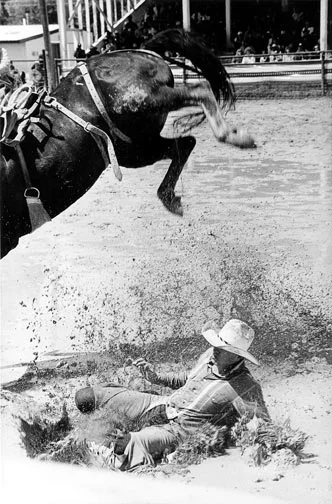 "Muddy Landing" Photo © Barbara Van Cleve. All Rights Reserved.
