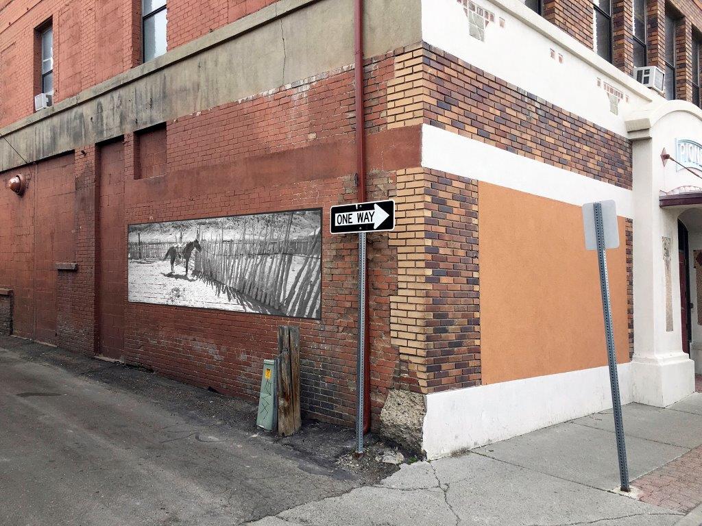 Wall photo mural project model by Deon Reynolds, ©2016 Reynolds Photography