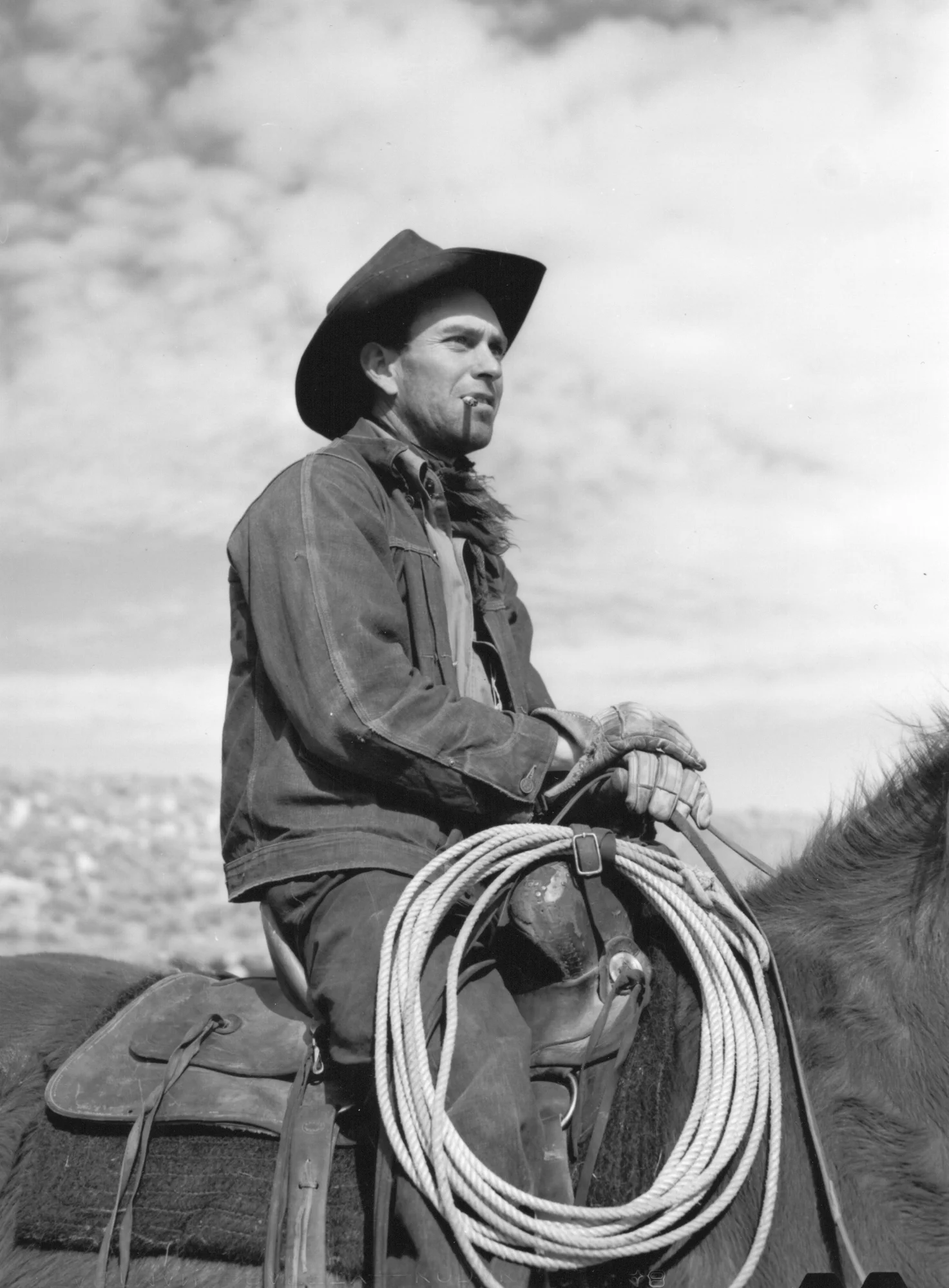 Cowhand. Elko County, Nevada. Arthur Rothstein, March 1940.